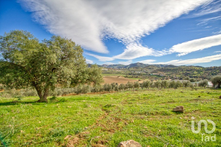 Terreno de 12.000 m² en Almogía (29150)