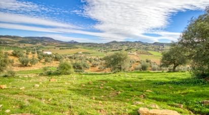 Terreno de 12.000 m² en Almogía (29150)