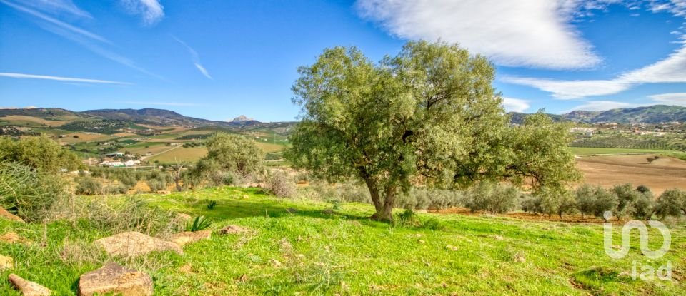 Terreno de 12.000 m² en Almogía (29150)