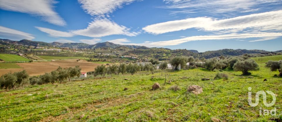 Terreno de 12.000 m² en Almogía (29150)