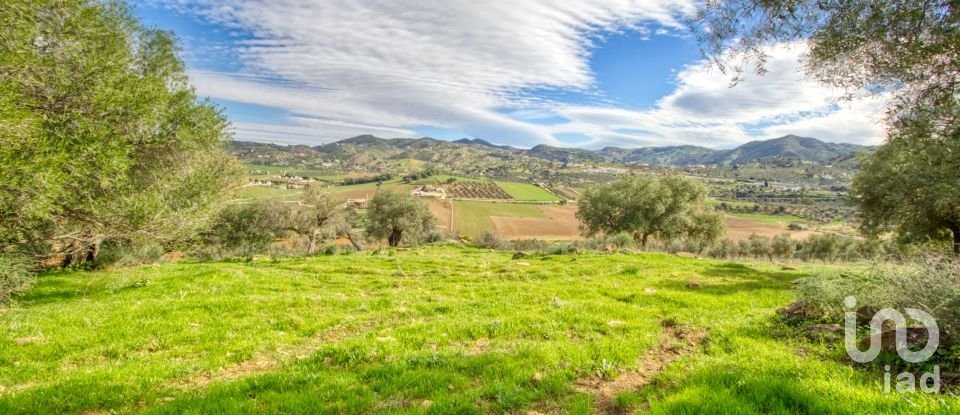 Terreno de 12.000 m² en Almogía (29150)