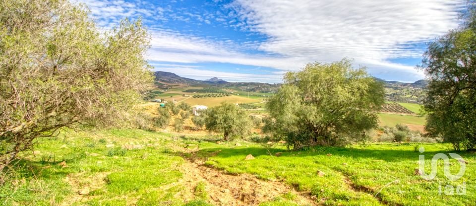 Terreno de 12.000 m² en Almogía (29150)