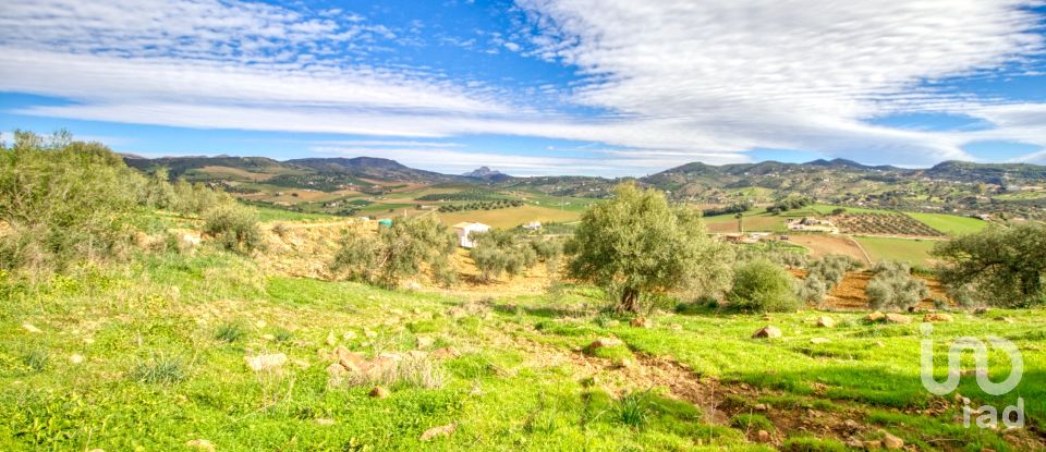 Terreno de 12.000 m² en Almogía (29150)