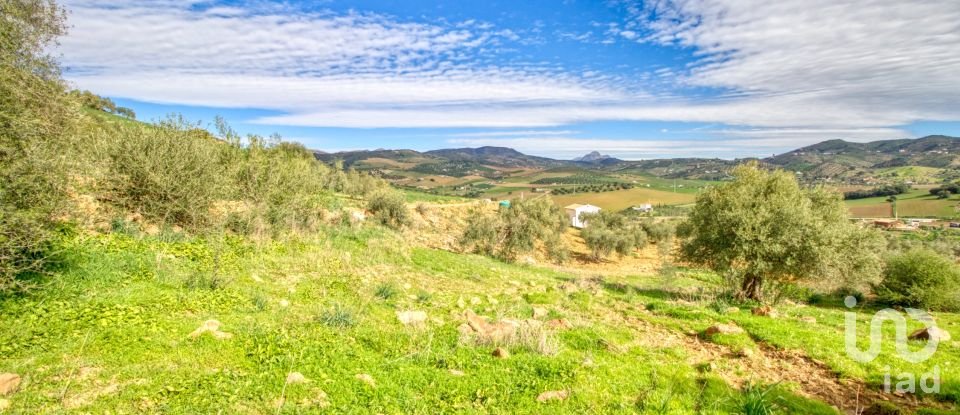 Terreno de 12.000 m² en Almogía (29150)