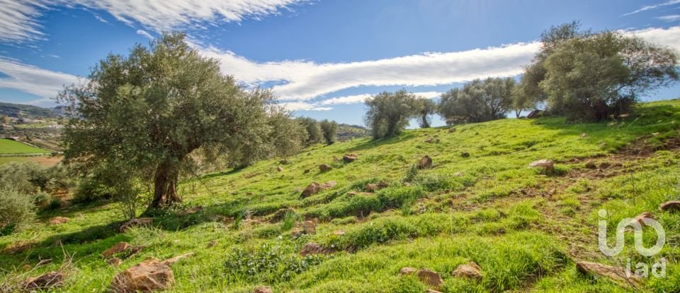 Terreno de 12.000 m² en Almogía (29150)