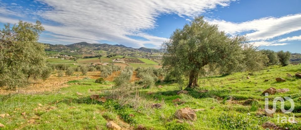 Terreno de 12.000 m² en Almogía (29150)