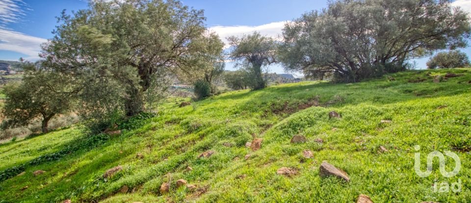 Terreno de 12.000 m² en Almogía (29150)