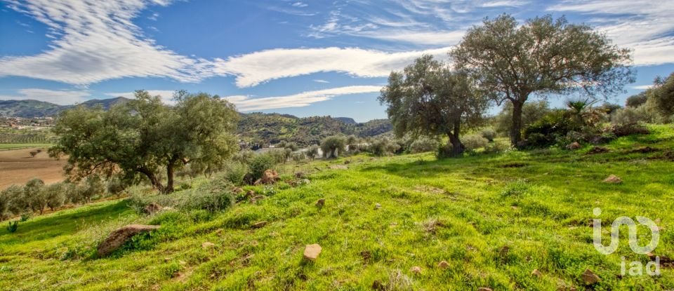 Terreno de 12.000 m² en Almogía (29150)