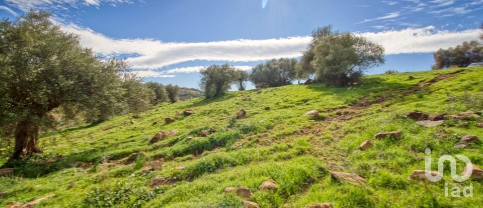 Terreno de 12.000 m² en Almogía (29150)