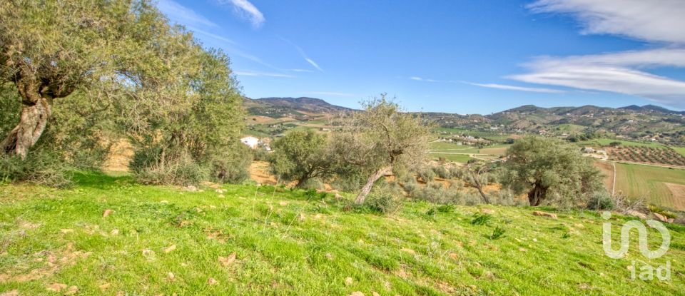 Terreno de 12.000 m² en Almogía (29150)