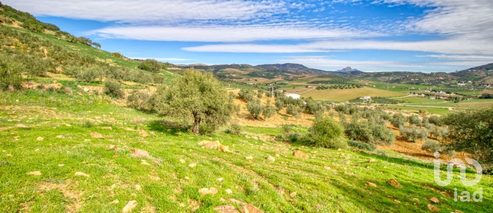 Terreno de 12.000 m² en Almogía (29150)