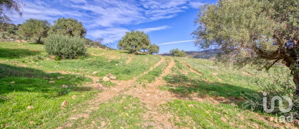 Terreno de 12.000 m² en Almogía (29150)