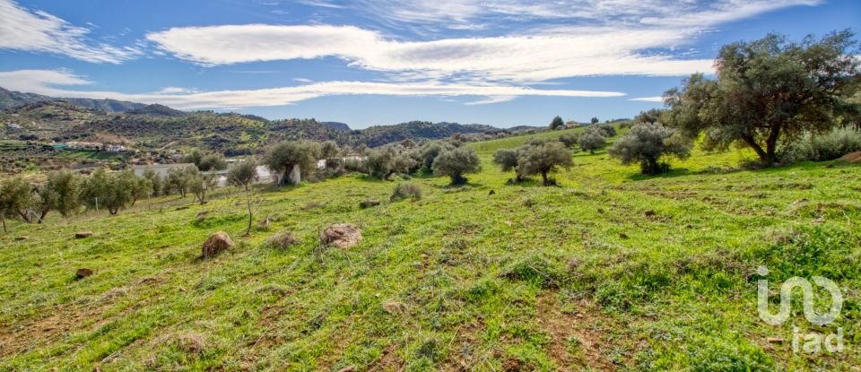 Terreno de 12.000 m² en Almogía (29150)