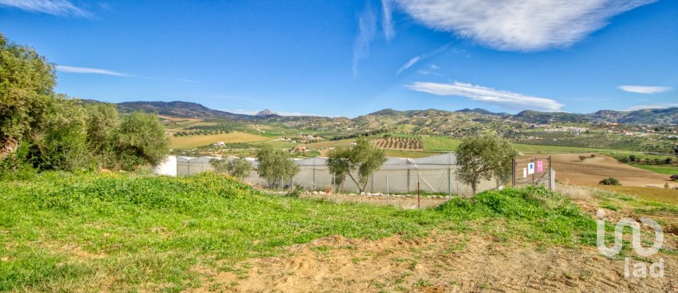 Terreno de 12.000 m² en Almogía (29150)