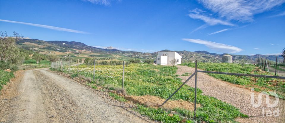 Terreno de 12.000 m² en Almogía (29150)