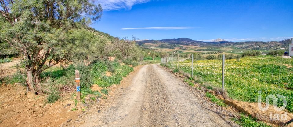 Terreno de 12.000 m² en Almogía (29150)