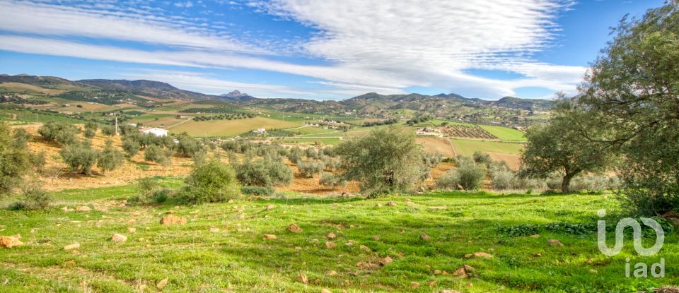 Terreno de 12.000 m² en Almogía (29150)