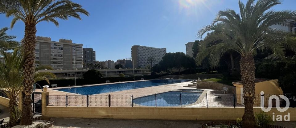 Studio 0 chambre de 22 m² à Playa de Sant Joan (03540)