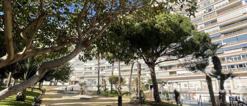 Studio 0 chambre de 22 m² à Playa de Sant Joan (03540)