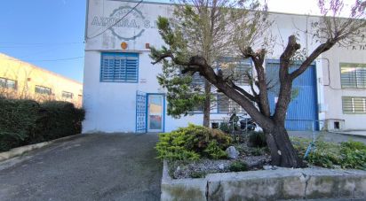 Surface diverse de 428 m² à Valls (43800)