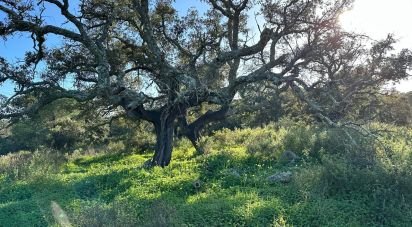 Terreny de 44.740 m² a Villablanca (21590)