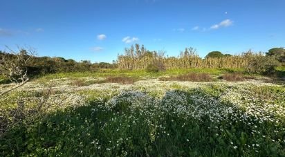 Terreno de 44.740 m² en Villablanca (21590)