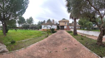 Terra de 2.645 m² a Carmona (39558)