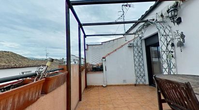 Maison 4 chambres de 145 m² à Aldover (43591)