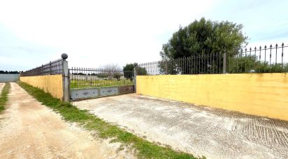 Terrain de 7 455 m² à Vinaros (12500)