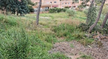 Terrain de 1 974 m² à Segur de Calafell (43882)