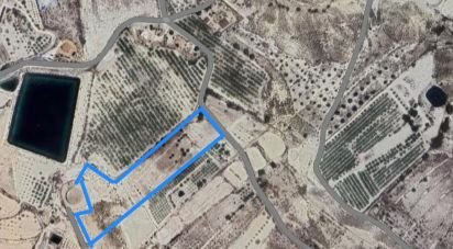 Terrain de 12 025 m² à Fortuna (30620)