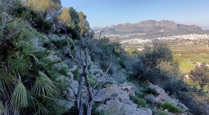 Terreny de 1.103 m² a Urbanización Monte Sella / Muntanya de La Sella (03750)