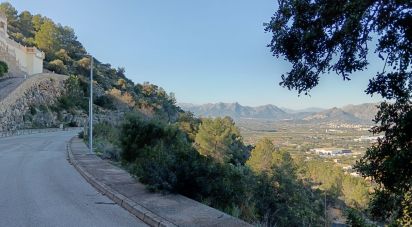 Terreny de 1.103 m² a Urbanización Monte Sella / Muntanya de La Sella (03750)