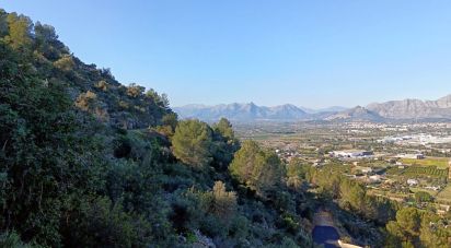 Terreny de 1.103 m² a Urbanización Monte Sella / Muntanya de La Sella (03750)