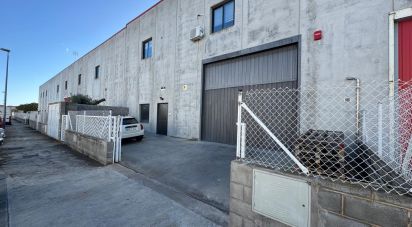 Botiga / Local comercial de 506 m² a Roda de Bara (43883)