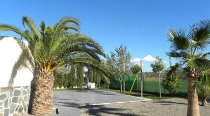 Maison 5 chambres de 175 m² à Sant Antoni de Portmany (07820)