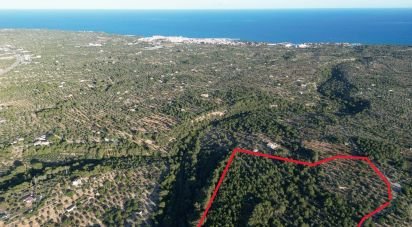 Terrain de 22 079 m² à L'Ametlla de Mar (43860)