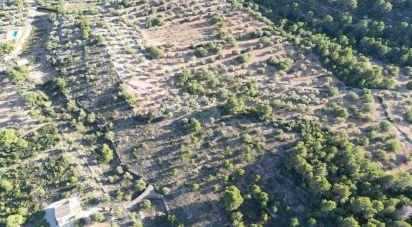 Terrain de 22 079 m² à L'Ametlla de Mar (43860)