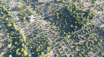 Terrain de 22 079 m² à L'Ametlla de Mar (43860)