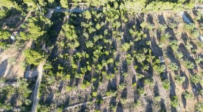 Terrain de 22 079 m² à L'Ametlla de Mar (43860)