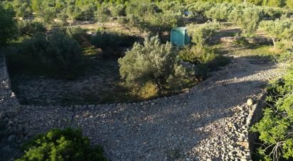 Terrain de 22 079 m² à L'Ametlla de Mar (43860)