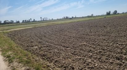 Terreny de 1.264 m² a Sant Jaume d'Enveja (43877)