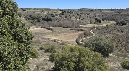 Terrain de 10 813 m² à Los Santos de la Humosa (28817)