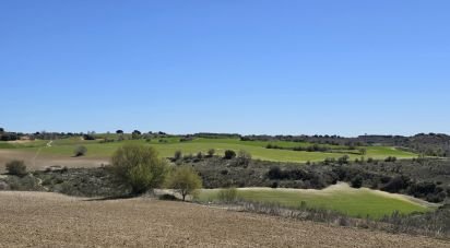 Land of 49,315 m² in Los Santos de la Humosa (28817)