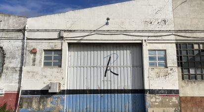 Tienda / local comercial de 279 m² en León (24005)