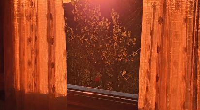 Maison 4 chambres de 255 m² à Montblanc (43400)