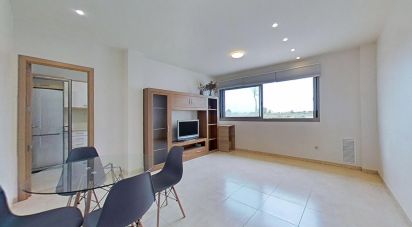 Apartment 3 bedrooms of 110 m² in Deltebre (43580)