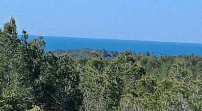 Terreny de 100.000 m² a Torredembarra (43830)