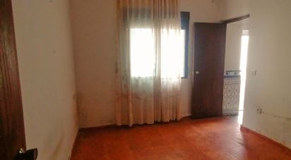 Maison de village 5 chambres de 100 m² à Belvís de la Jara (45660)