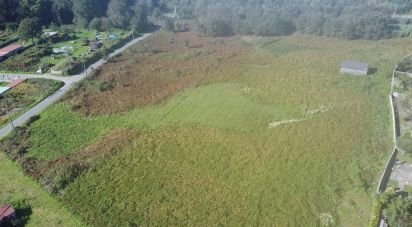 Terrain de 20 000 m² à O Campo (36914)